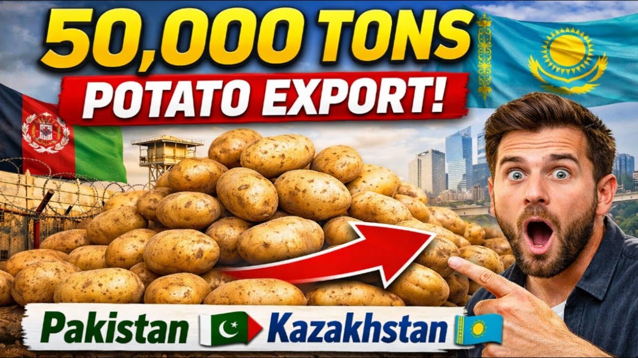 50,000 Tons Potato Export! Pakistan to Kazakhstan Big Deal | Latest Update 2026