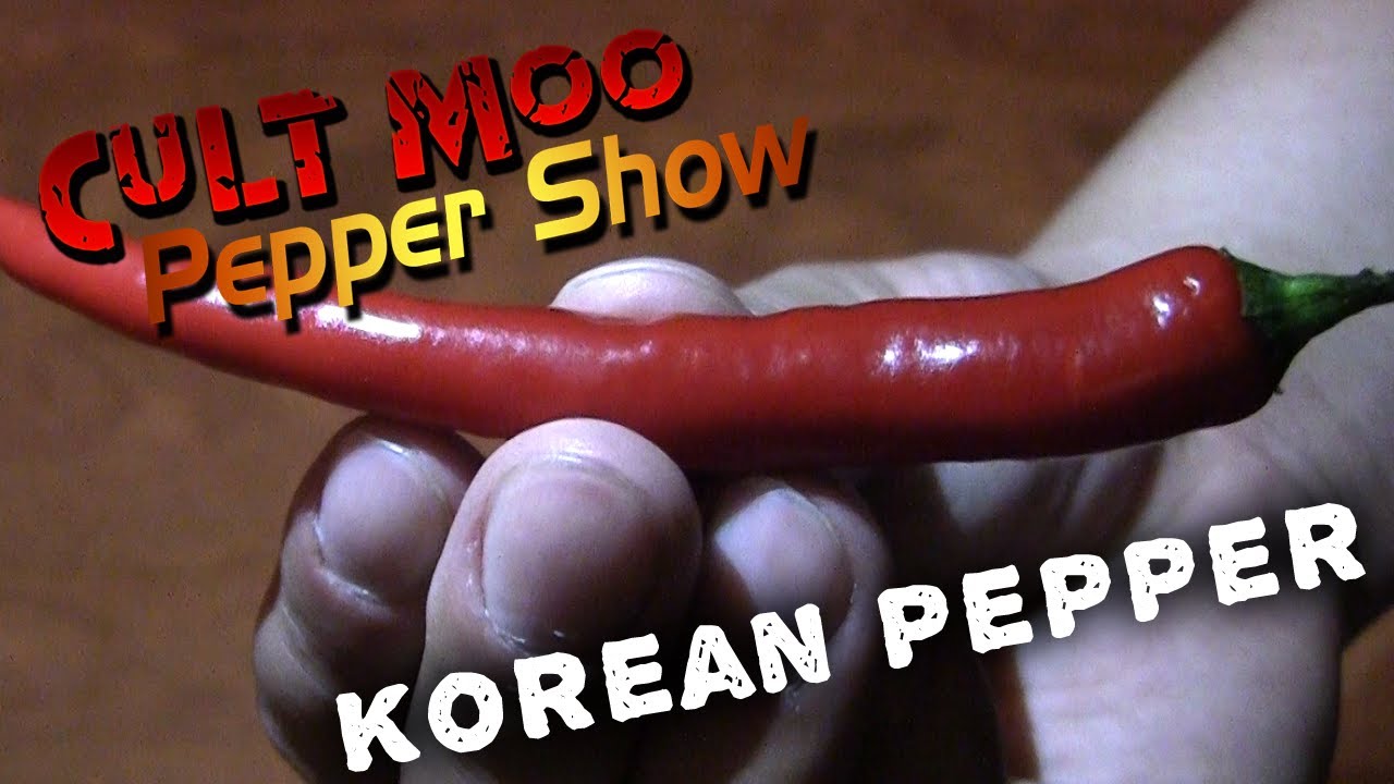 Korean Pepper Pepper Show Ep.27 YouTube
