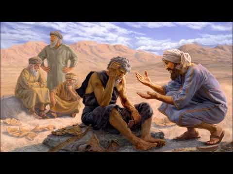 أيوب بين البر الذاتي والسماح الإلهي