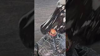 Unusual ASMR - Venom Cleaning by a piece of Venom #shorts #venom #asmr