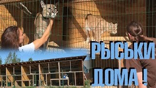В гостях у Кати. Отмечаем переезд рысек с упоротыми зоологами. :) В гостях у Кати. Отмечаем переезд рысек с упоротыми зоологами. :)