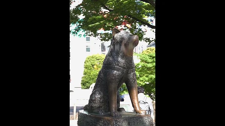 The Hachiko statue in Shibuya