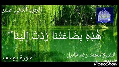 القارئ محمد رضا قابيل1