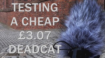 Cheap Budget Deadcat Furry Windshield Test & Movo WST80 Windscreen & Neewer 14.37 Inch Shotgun Mic