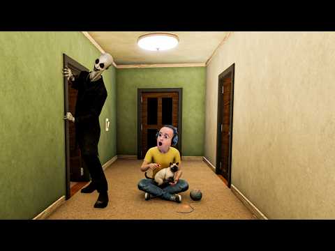 Cat Sitter