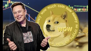 Маск, скажи хоть что-то! Dogecoin продолжает пике – альткоины под угрозой. Что будет дальше?