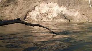Spring Break Kayak Ride Pine River 2021