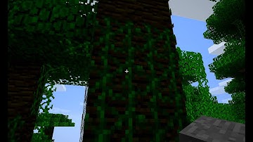 Minecraft: 1.2 Pre-Release!