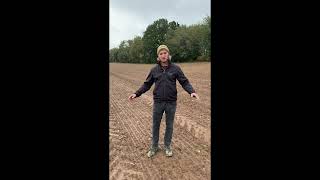 Anbauberatung September 2025 - Wintergerste