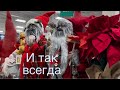 АМЕРИКА Себе не изменяем, в выходные по магазинам ✨ Покупки