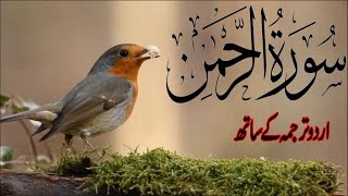 Surah Rahman ( Ar Rahman ) with Urdu translation | Tilawat Quran | Quran with Urdu Hindi Translation