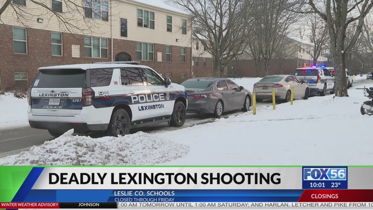 Man dies after shooting on Versailles Road shooting in Lexington - YouTube