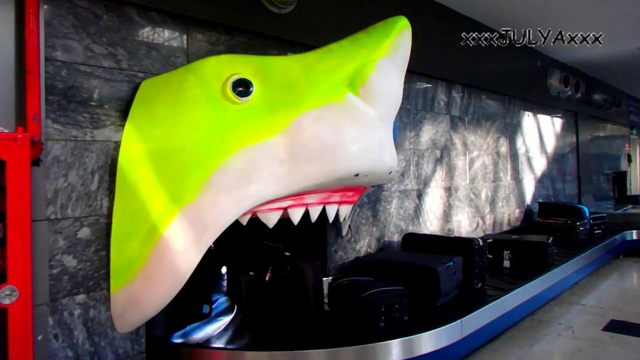Sharks at the airport (Turkey, Antalya) Акулы в аэропорту (Турция, Анталия) YouTube