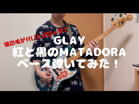 【猫の毛が付いたパジャマで】GLAY 紅と黒のMATADORA ベース弾いてみた！