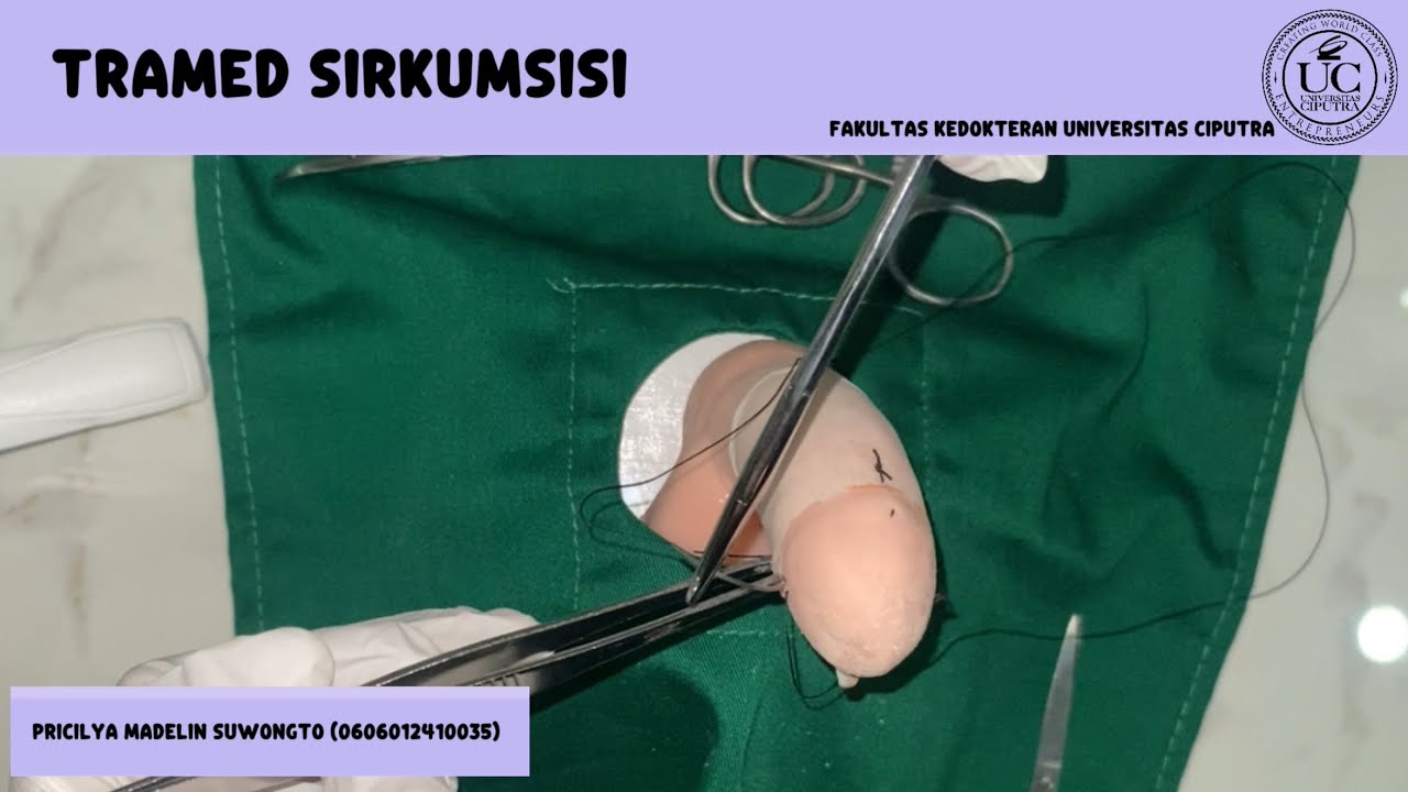 TRAMED SIRKUMSISI || 0606012410035 - Pricilya Madelin Suwongto || Universitas Ciputra