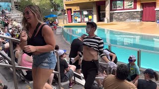 Lynn the mime Antics | SeaWorld Mime Orlando