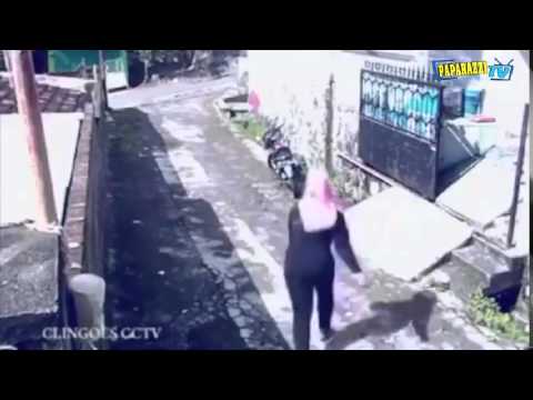 სათვალთვალო კამერით დაფიქსირებული ყველაზე სულელი ყაჩაღი