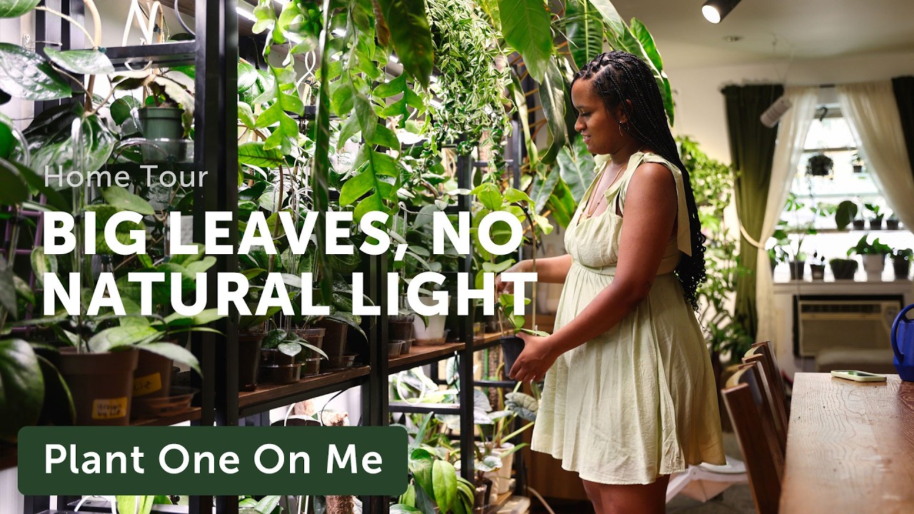 She Grows BIG HOUSEPLANTS With NO Natural Light — Ep. 422