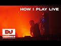 Rex The Dog | How I Play Live