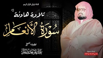 تلاوة تزيل الهموم وتبعث الطمأنينة بصوت الشيخ علي جابر رحمه الله
