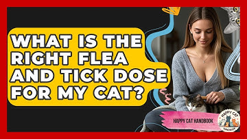 What Is The Right Flea And Tick Dose For My Cat? - Happy Cat Handbook