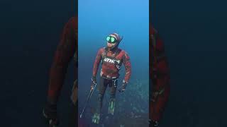 La belleza de la APNEA 🌊🐟 The beauty of APNEA #shorts #spearfishing #apnea