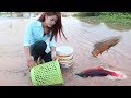 Smart Girl Using Basket Catch A Lot Of Fish In Cambodia