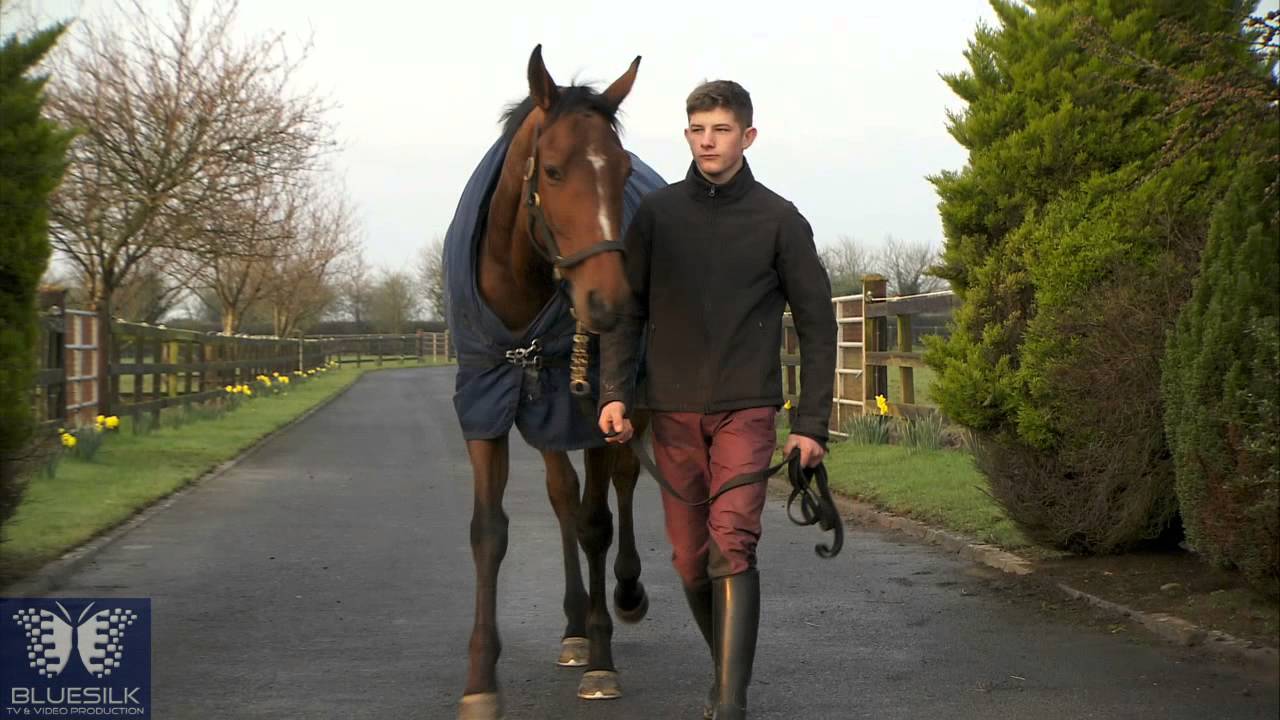 martin brassil grand national