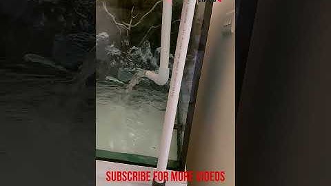 Easy DIY water changing siphon #shorts