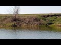На березі річки Трубіж - тестове відео Oppo A31