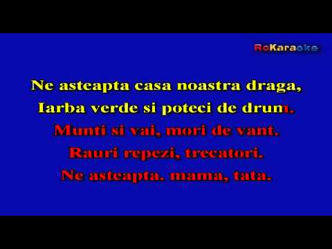 GIL DOBRICA Hai acasa  Karaoke