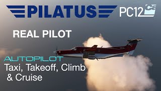 Pilatus PC-12 Takeoff, Climb, Cruise- Real World Step by Step Instructions- 4K Carenado PC12 Video 2