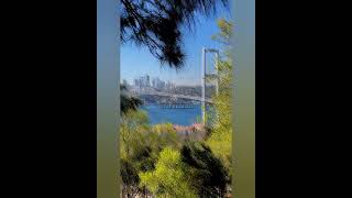 Sezen Aksu - Yansın İstanbul Resimi