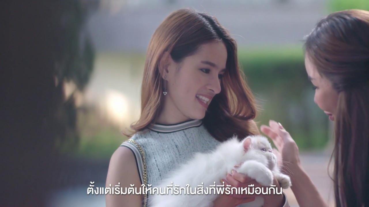 Royal Canin จุดเริ่มต้นที่ดี เพื่อสุขภาพของลูกแมวและลูกสุนัข | อาหาร ลูก แมว royal caninเนื้อหาที่เกี่ยวข้องที่มีรายละเอียดมากที่สุด