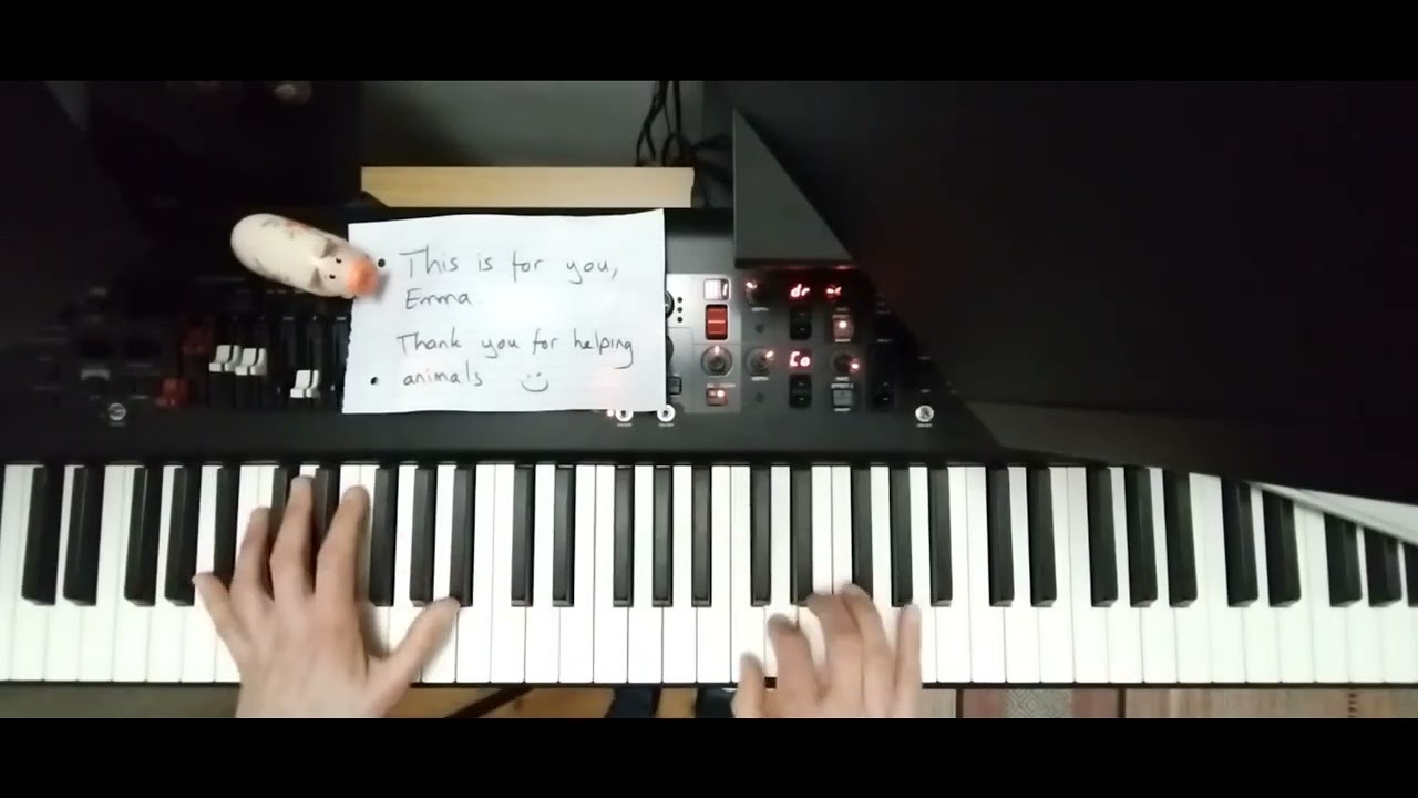 Enya - Marble Halls (Piano for Pigs charity cover)