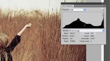 Photoshop 101 e.3 - What is a Histogram : Beginner Tutorial