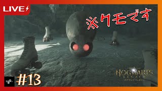 13【魔法アクション】ホグワーツ・レガシー【黒鉄カイト】