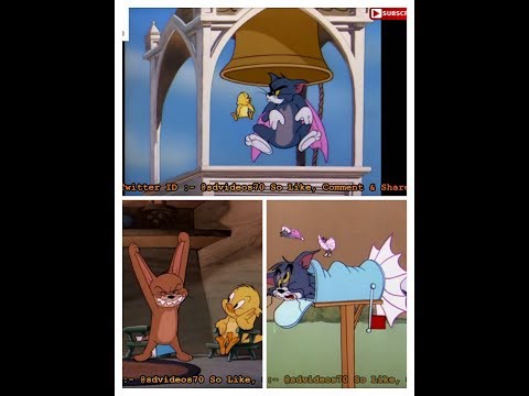 tom-and-jerry-hindi-dubbed-funny-video-//-dhiman-raj-vines-//