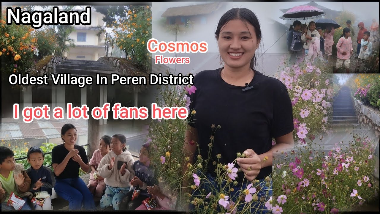 OLDEST VILLAGE IN PEREN DISTRICT, NAGALAND | WIZILIU