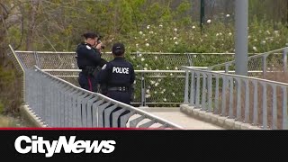 Search continues for violent dog after shock attack