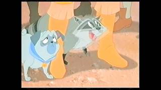 Pocahontas II: Journey To A New World: Meeko (Slow) (11)