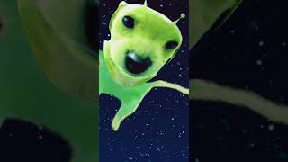 bro was in oter space 🚀 and he's a dog wal dancing