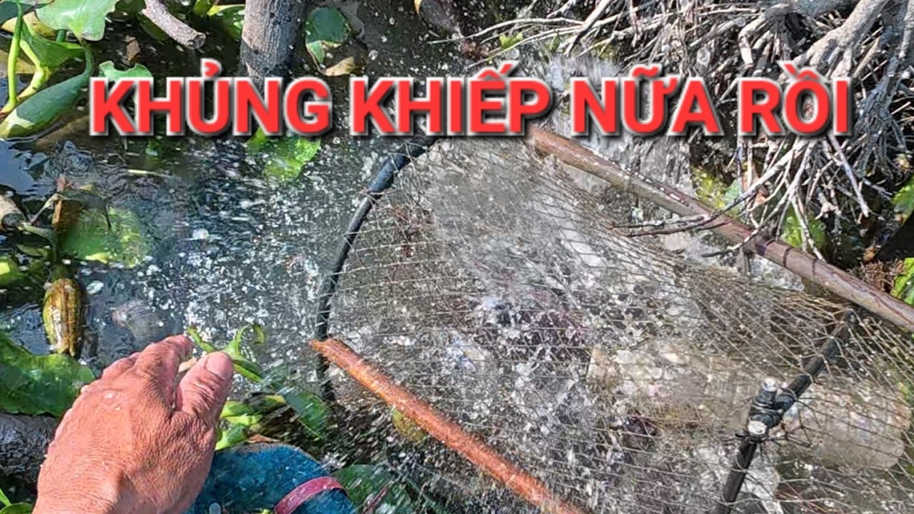 NƯỚC LÊN BẤT NGỜ LUỒNG LỜ HÔM NAY TRÚNG ĐẬM LUÔN