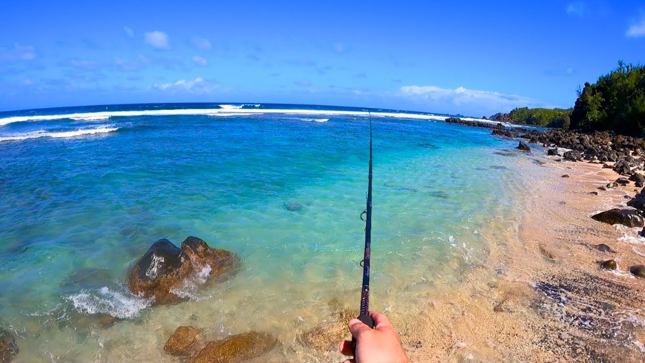 Eating Whatever I Catch on Hawaiian Beaches (Surfer Edition) 