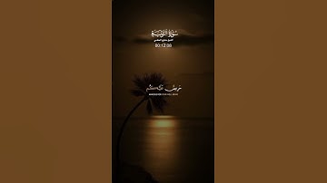 لقد جآءكم رسول من أنفسكم بصوت مشارى راشد #سوره التوبه #مشاري_العفاسي #قرآن_كريم #اكسبلور