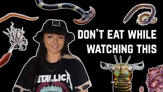 Zoologist Answers: WTF is THAT?? (Worm Edition)