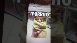 DANK MEME GENERATOR APP (PROJECT)
