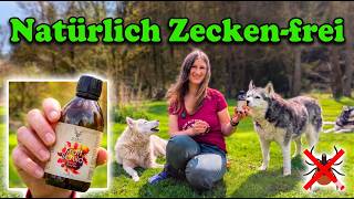 Natürlicher Zeckenschutz Für Hunde So Bleibt Dein Hund Ohne Gruslige Chemie Zeckenfrei