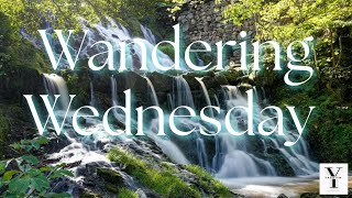 Wandering Wednesday: The Stone