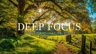 Focus Music For Work And Studying /  Background Music For Concentration, Study Music, Thinking Music